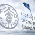 La FAO salue le modèle marocain ‘’innovant’’ en matière de gestion forestière