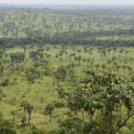Crédits biodiversité en Côte d&rsquo;Ivoire