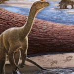 Un dinosaure vieux de 210 millions d’années découvert au Zimbabwe