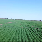 L’Éthiopie génère plus de 4,55 milliards USD de recettes d&rsquo;exportations agricoles