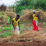 L’insécurité alimentaire aiguë pourrait augmenter d’ici mars 2027 au Mozambique