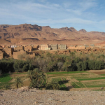 Maroc : le 15è Salon international des Dattes à Erfoud