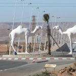 Maroc : 19e Moussem de Tan-Tan