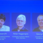 Le prix Nobel de médecine attribué à un trio américano-allemand pour des travaux sur la mémoire
