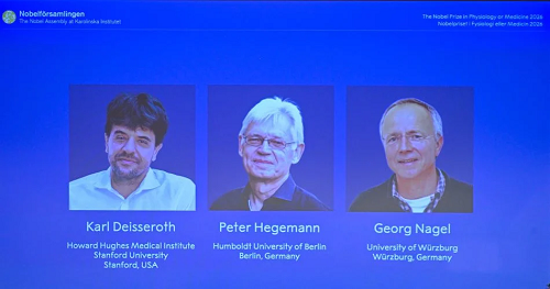 Le prix Nobel de médecine attribué à un trio américano-allemand pour des travaux sur la mémoire